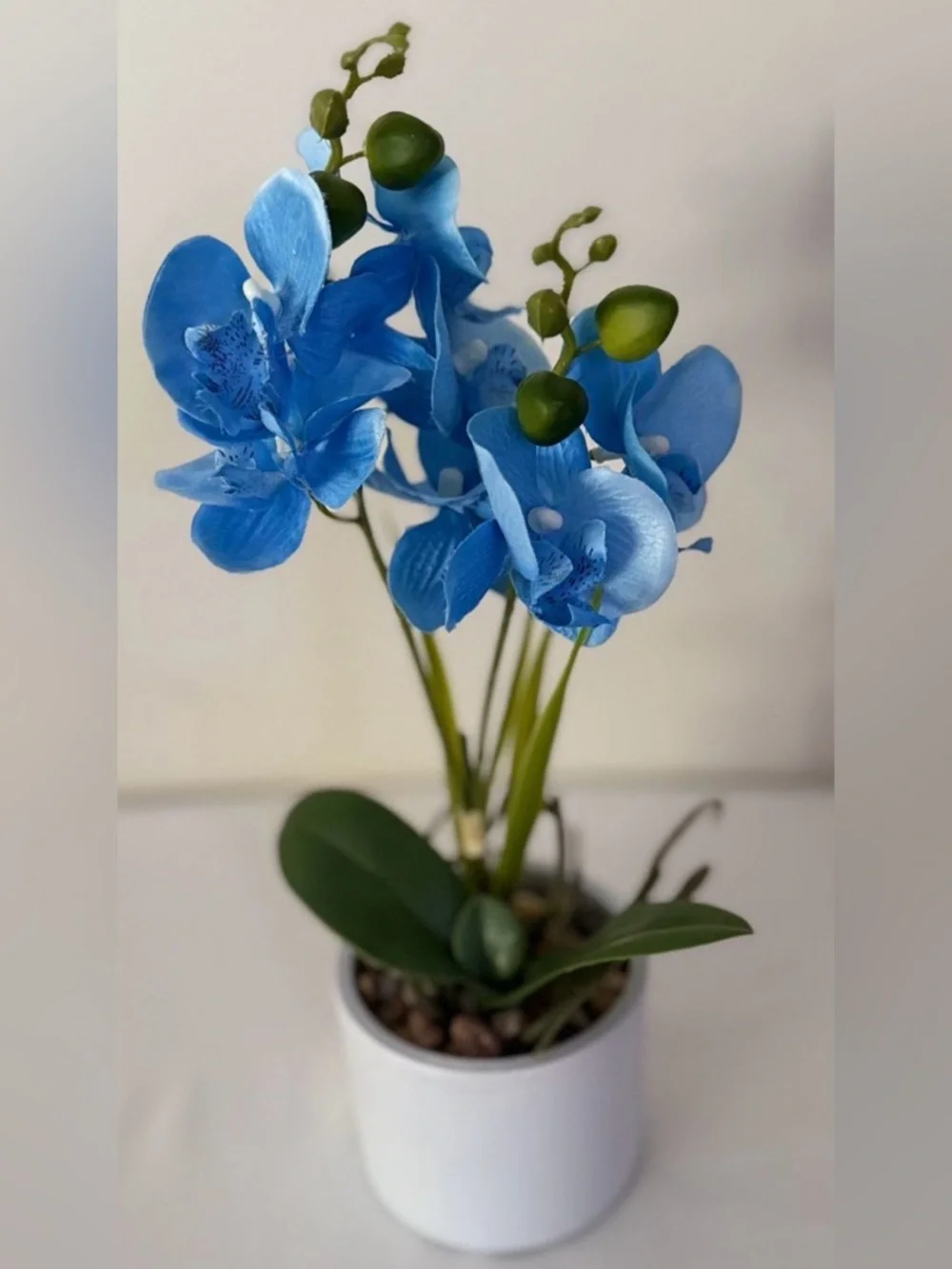 💙✨ NWT Ceramic Vase Artificial Orchid Bonsai – 14.5” Blue Phalaenopsis Décor 💙🏡